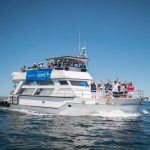 Calypso - 20 pasajeros