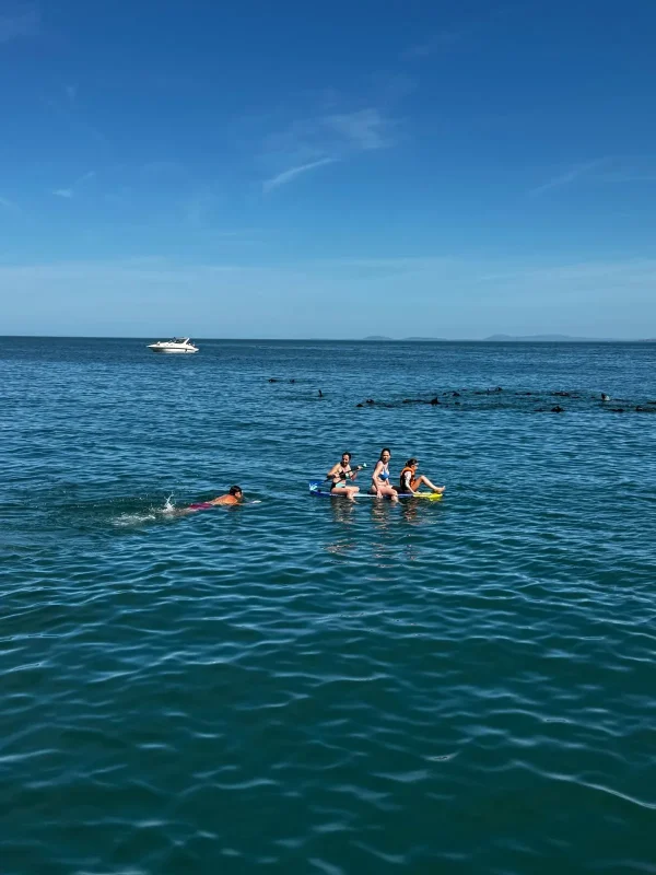 Family on a paddle board with sea lions swimming nearby at Isla de Lobos