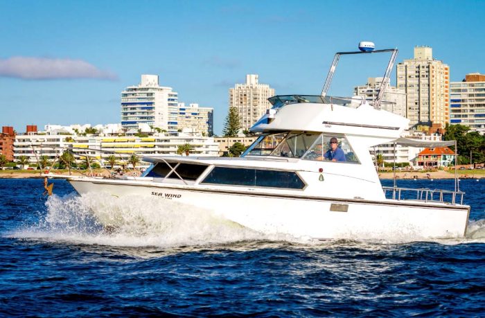 Sea Wind - 15 pasajeros - Imagen 6