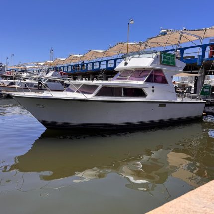 Sea Wind - 15 pasajeros - Imagen 3